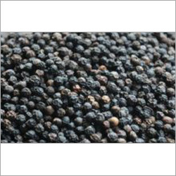 Black Pepper